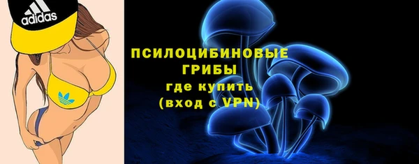 прущая мука Армянск